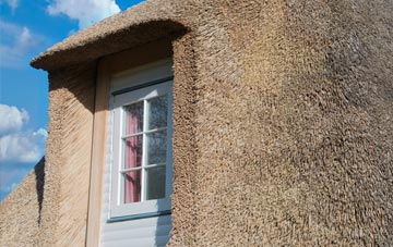 Pollok thatch roof disadvantages
